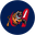 Tigres de Aragua