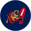 Tigres de Aragua